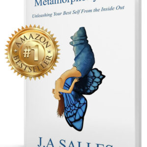 MetamorphoSys101